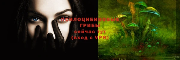 спиды Медвежьегорск
