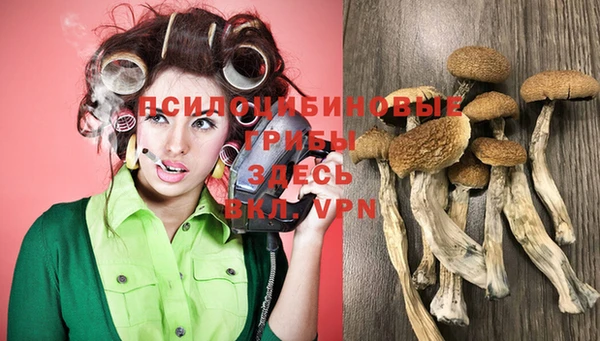 спиды Медвежьегорск
