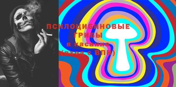 спиды Медвежьегорск