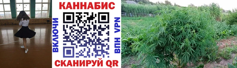 Марихуана White Widow  площадка клад  Починок  мега как войти 
